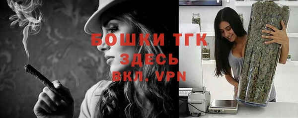 твердый Новозыбков