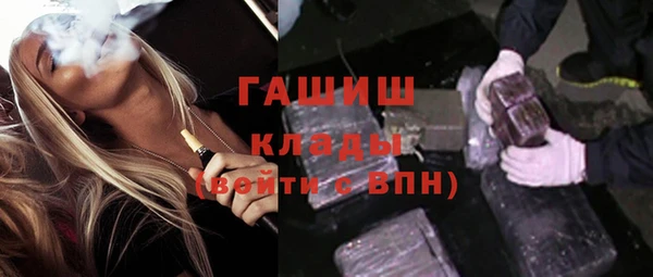 твердый Новозыбков