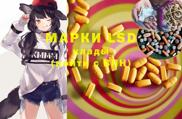 стаф Нея
