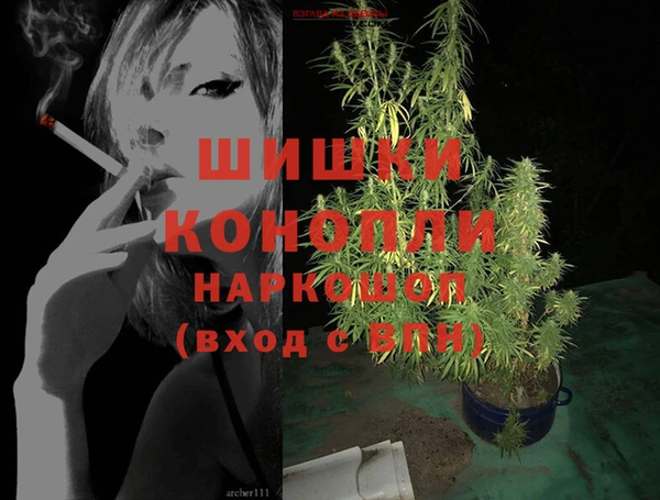 твердый Новозыбков