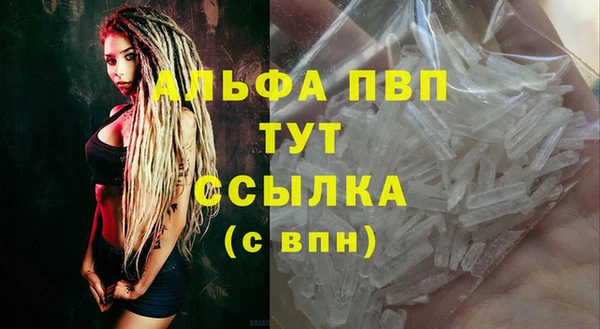 твердый Новозыбков