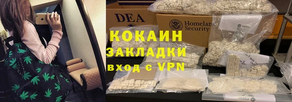 стаф Нея