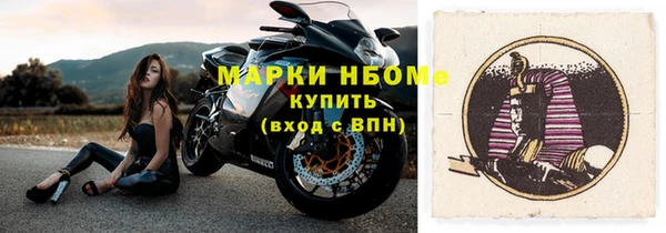 твердый Новозыбков