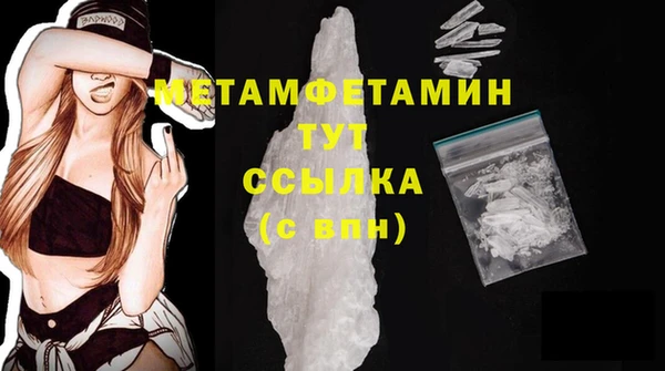 твердый Новозыбков