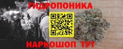 гидропоника Гусев
