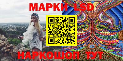 гидропоника Гусев