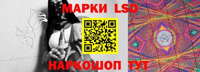 гидропоника Гусев