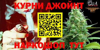 гидропоника Гусев