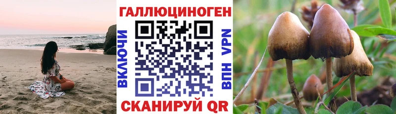 Галлюциногенные грибы Psilocybine cubensis  Ирбит 