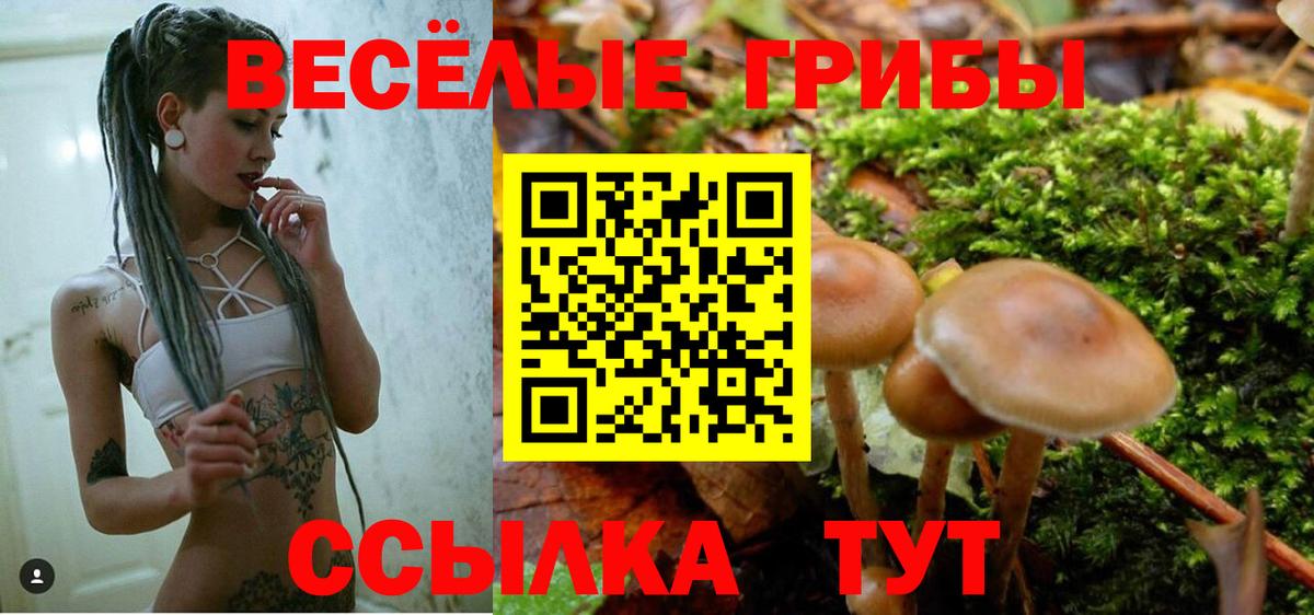 Псилоцибиновые грибы мухоморы  купить наркотик  Ирбит 