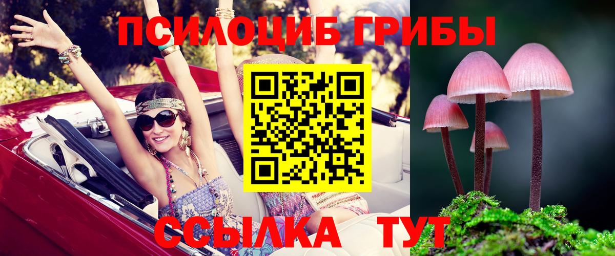 Псилоцибиновые грибы Psilocybe  Вход с VPN  Галлюциногенные грибы Magic Shrooms  Ирбит 