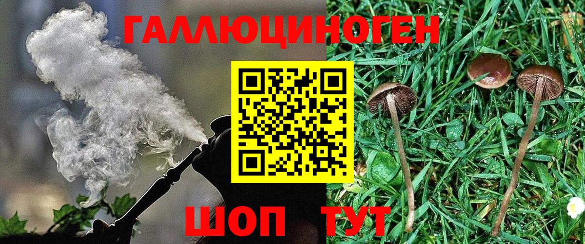 Галлюциногенные грибы мицелий Ирбит