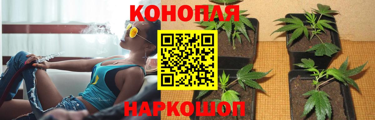 Ирбит  МАРИХУАНА индика  Конопля VHQ  Бошки марихуана VHQ  Вход с VPN  Марихуана сатива 